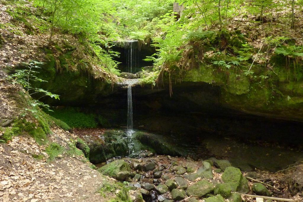 Penzion SKLAŘSKÁ HOSPODA Chřibská Exterior foto